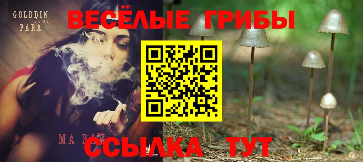 Верхняя Салда  Псилоцибиновые грибы прущие грибы  наркотики  Вход с VPN 